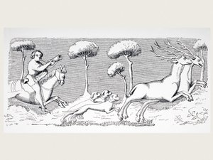 Nature and Appearance of Deer and How They Can Be Hunted with Dogs (after a miniature in the 15th century Manuscript of Phoebus, from 